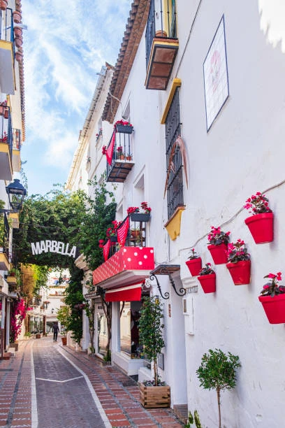 A whitewashed street with red flowerpots in Marbella